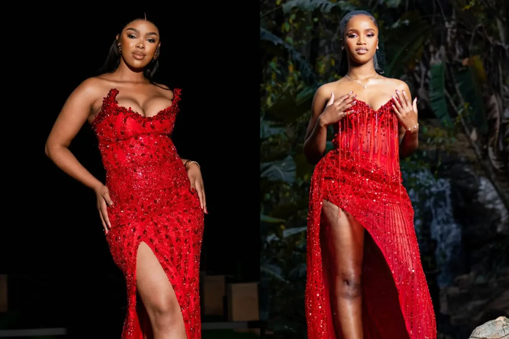 Gala-dinner-dresses 2025 - red-carpet silhouettes & styling tips